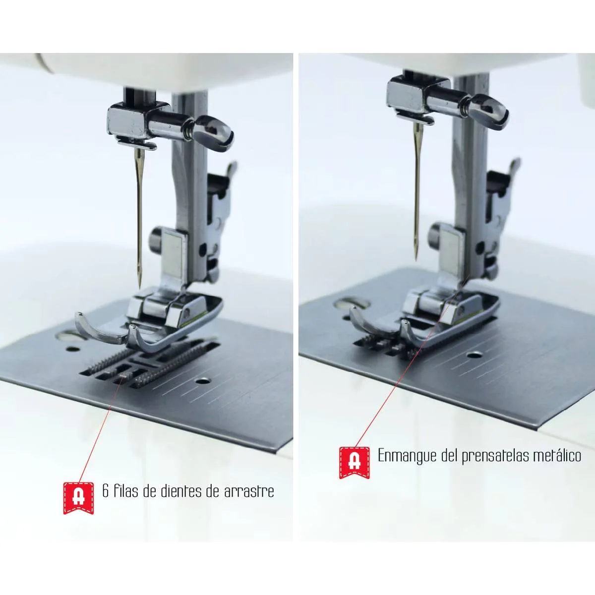 Imagen del producto 5